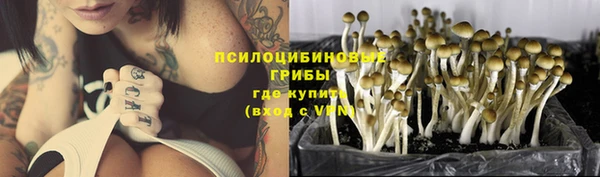 гашик Алзамай