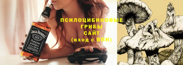 амфетамин Алексеевка