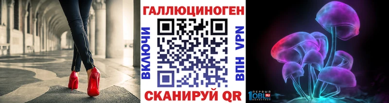 цена наркотик  Новошахтинск  Галлюциногенные грибы Cubensis 