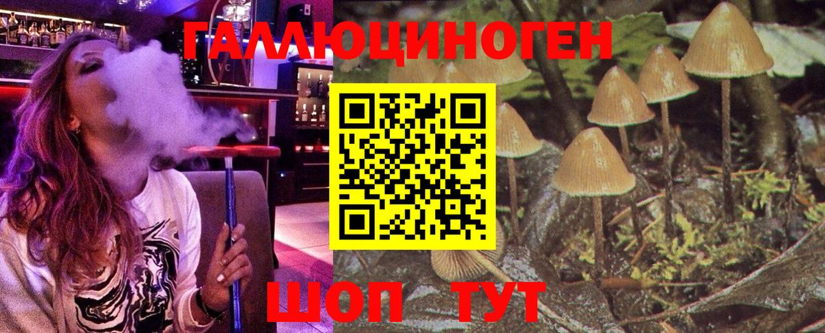 Псилоцибиновые грибы Psilocybine cubensis Новошахтинск