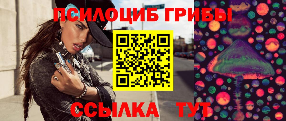 Галлюциногенные грибы Magic Shrooms  Вход с VPN  Новошахтинск  Галлюциногенные грибы Psilocybe 