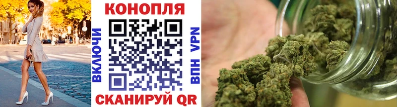 Бошки Шишки THC 21%  купить наркотики цена  Новошахтинск 